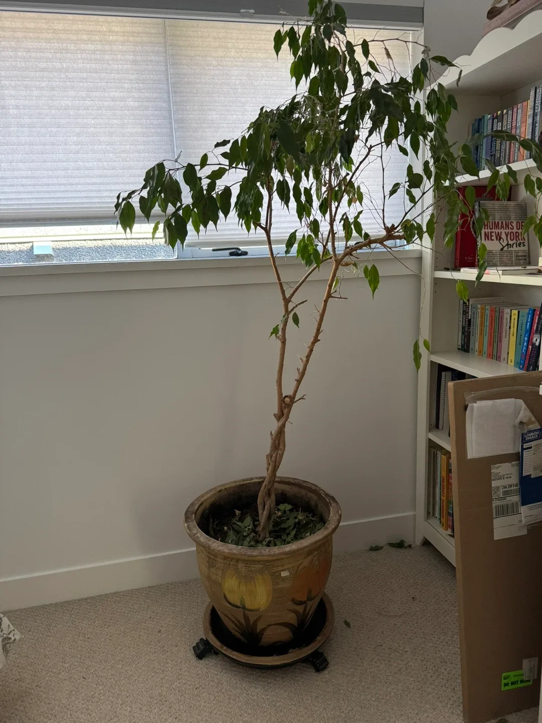 comment article thumbnail