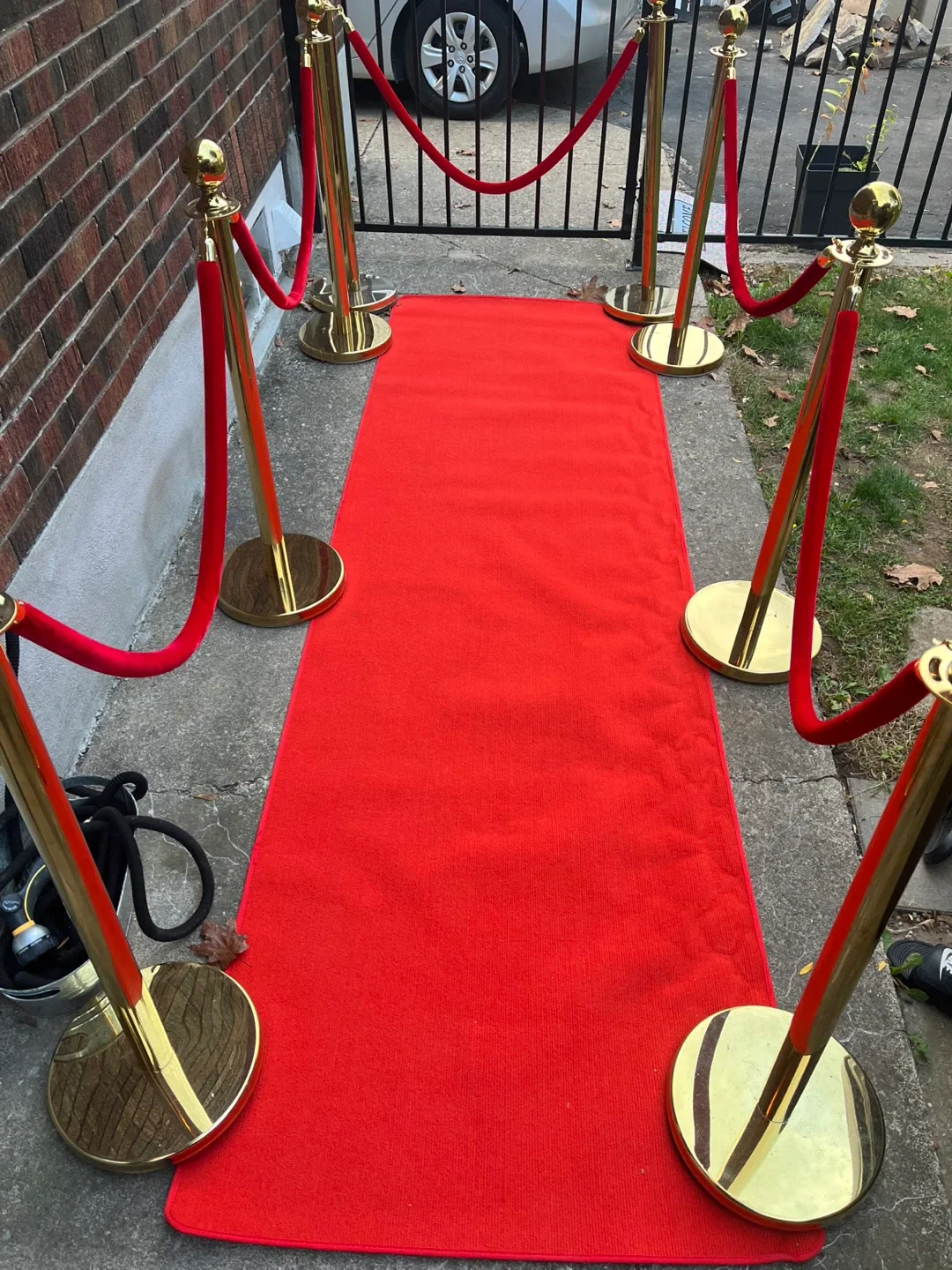 For rent Red Carpet with Gold Stanchions image indicator(4)