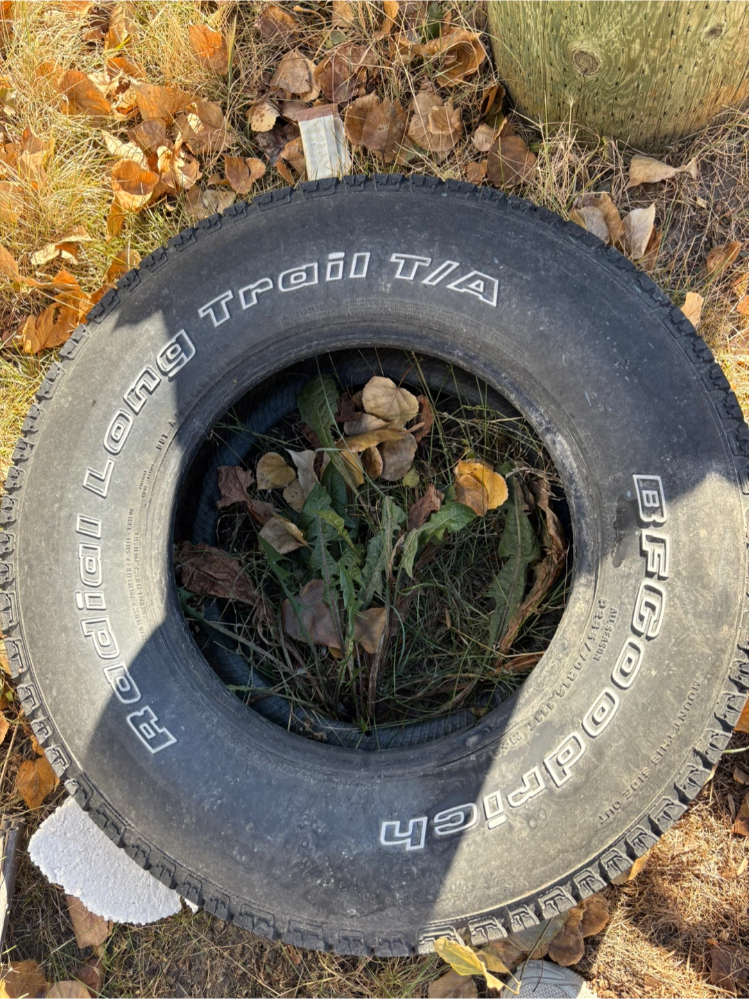 BFGoodrich Radial Long Trail T/A P265/70R16 Tire