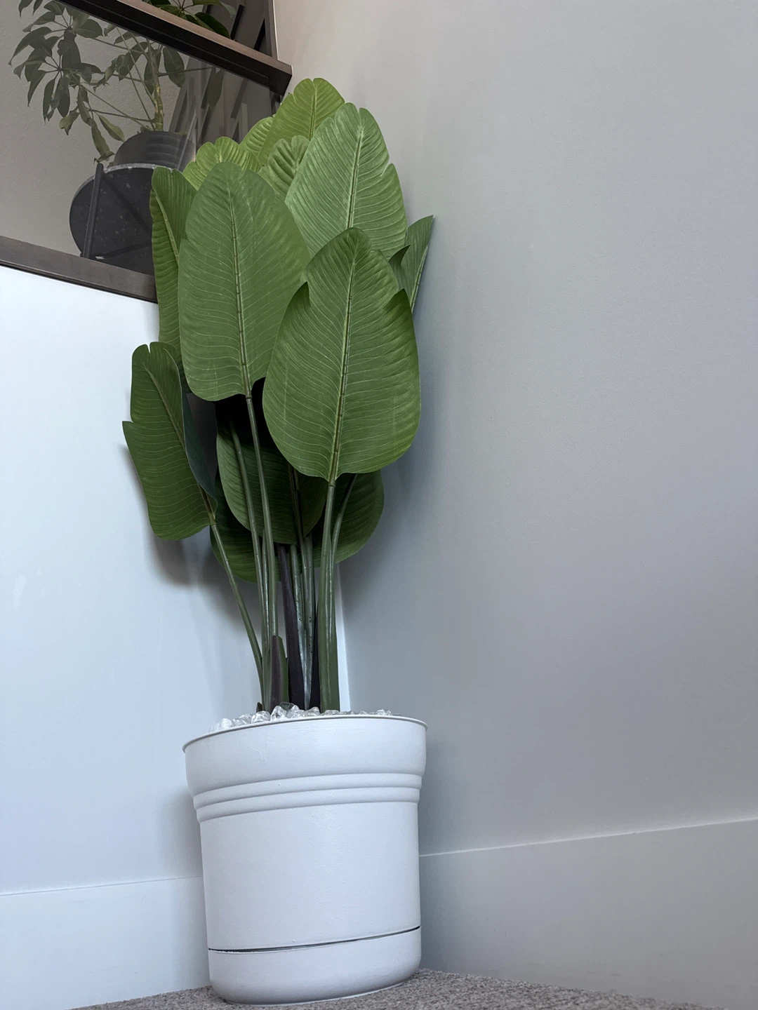 Fake plant - photo 3