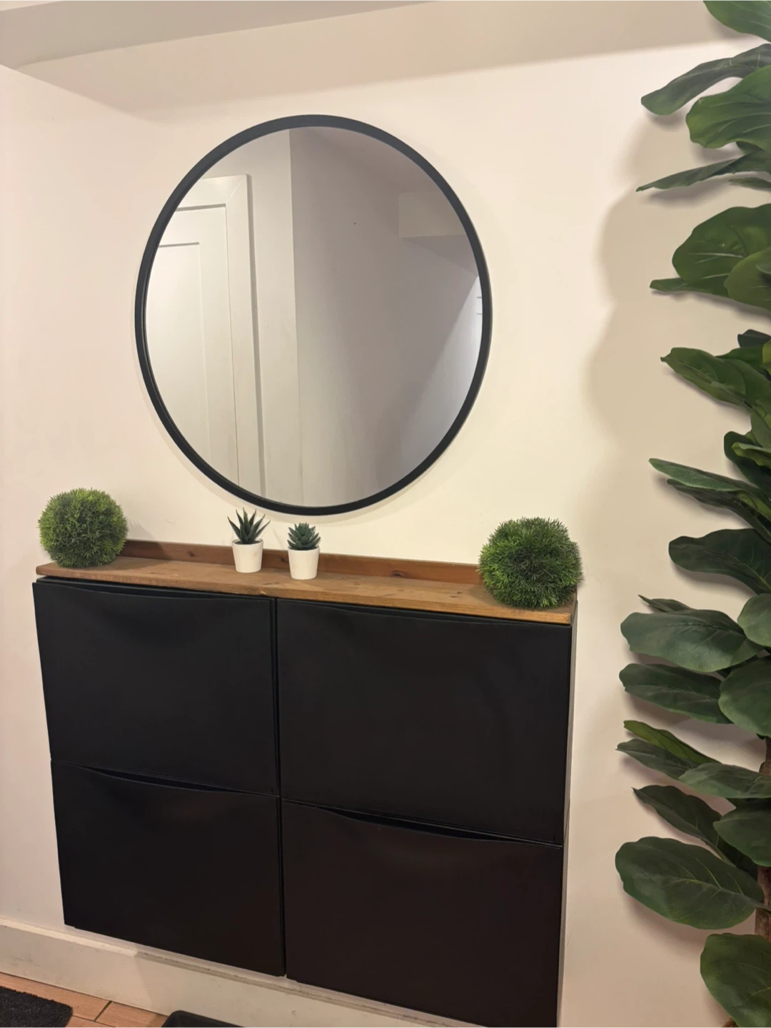 IKEA TRONES Shoe/Storage Cabinet & Mirror