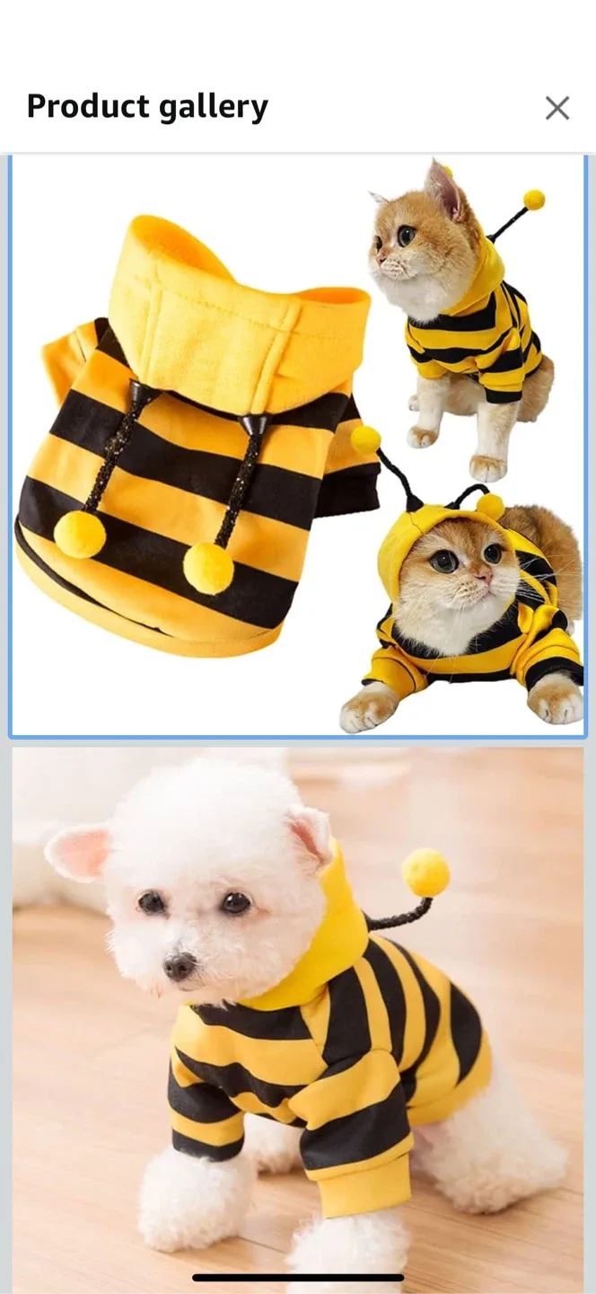 🥕 Halloween Bee Costume for cat/small dog - New thumbnail