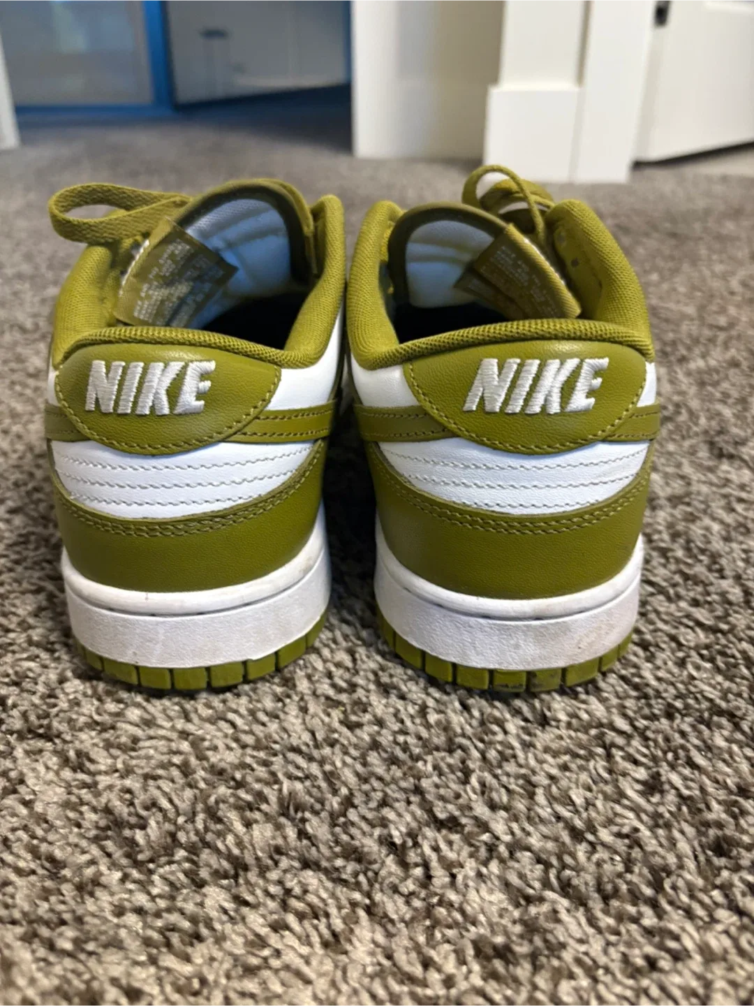 Nike dunk low retro Pacific moss image indicator(3)