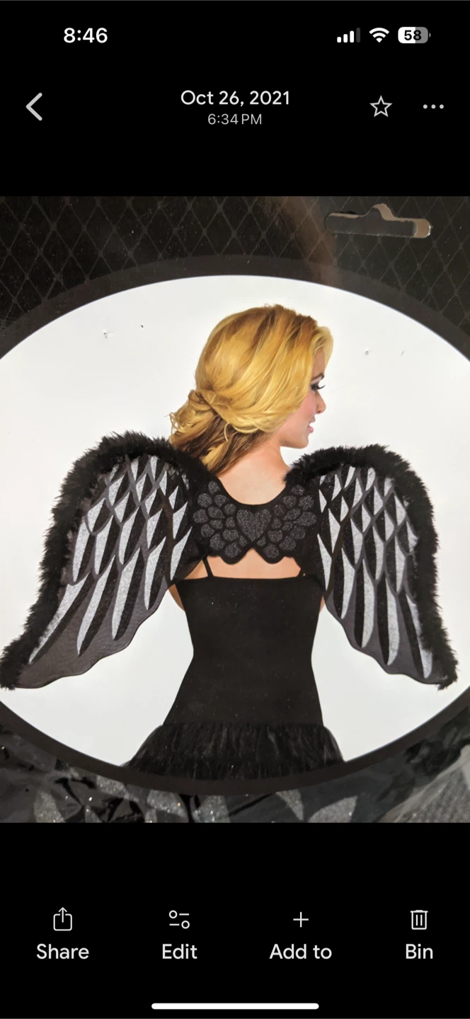 Angel Wings Costume - Black 🥕