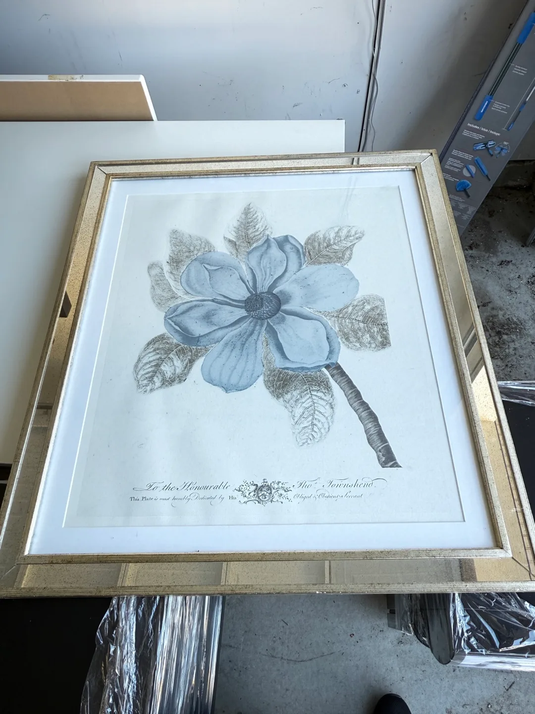 Framed Flower Print Art thumbnail