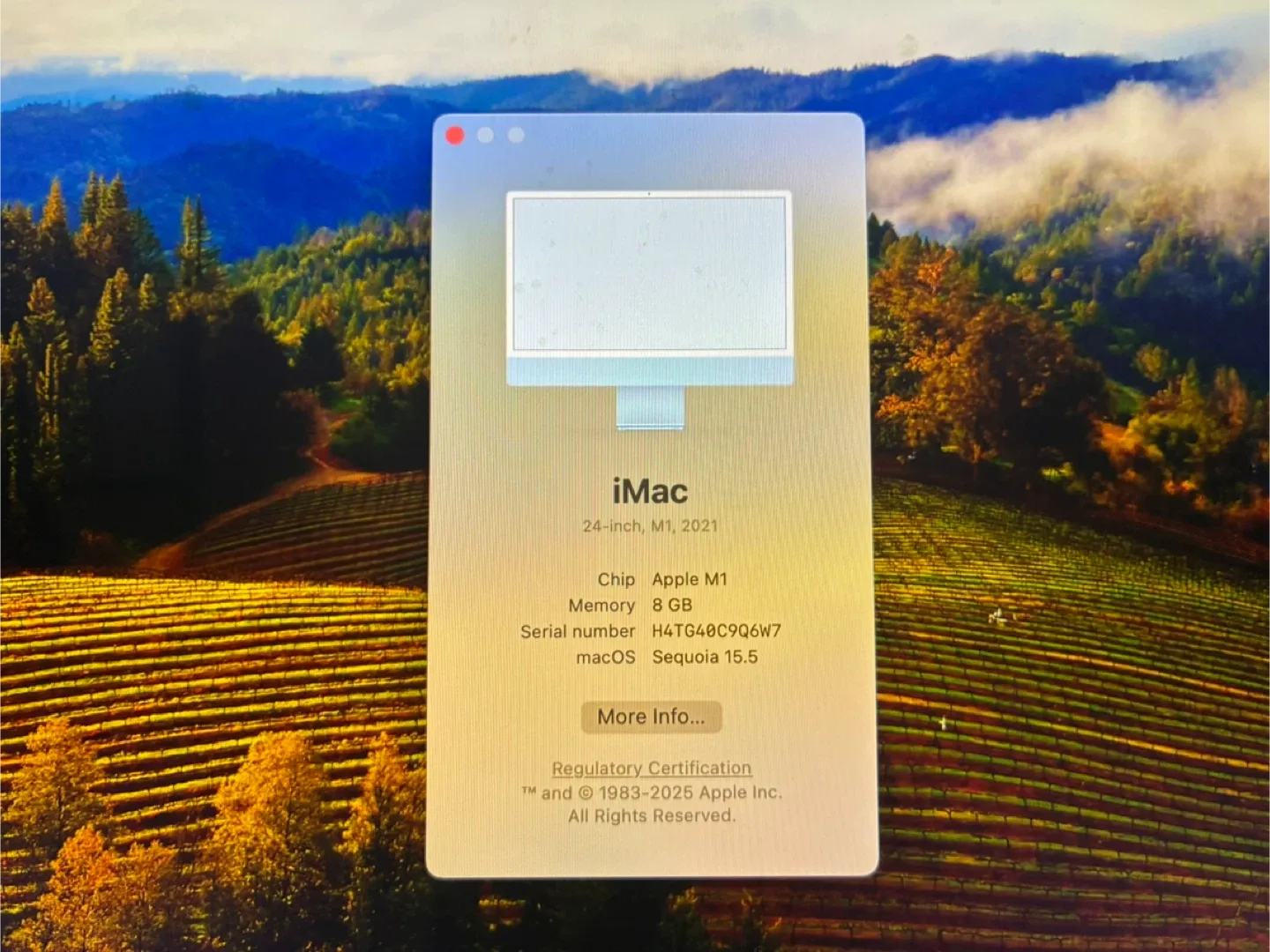 Apple iMac 24-inch M1, 8GB Memory image indicator(2)