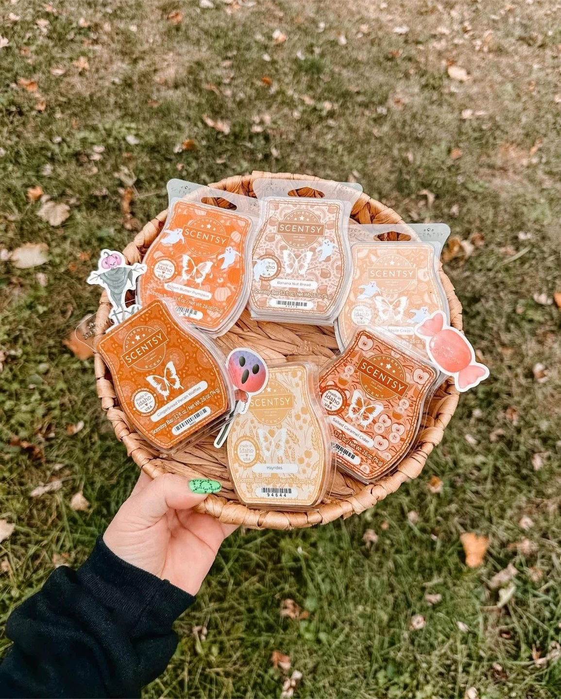 Scentsys Cozy Bundle.