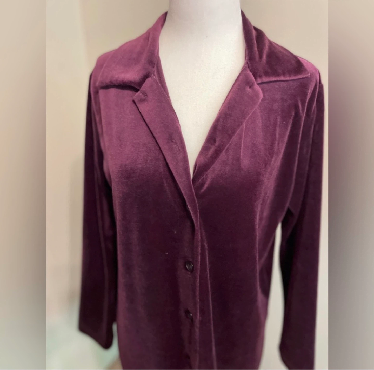 Vintage Plum Velour Blouse - photo 3