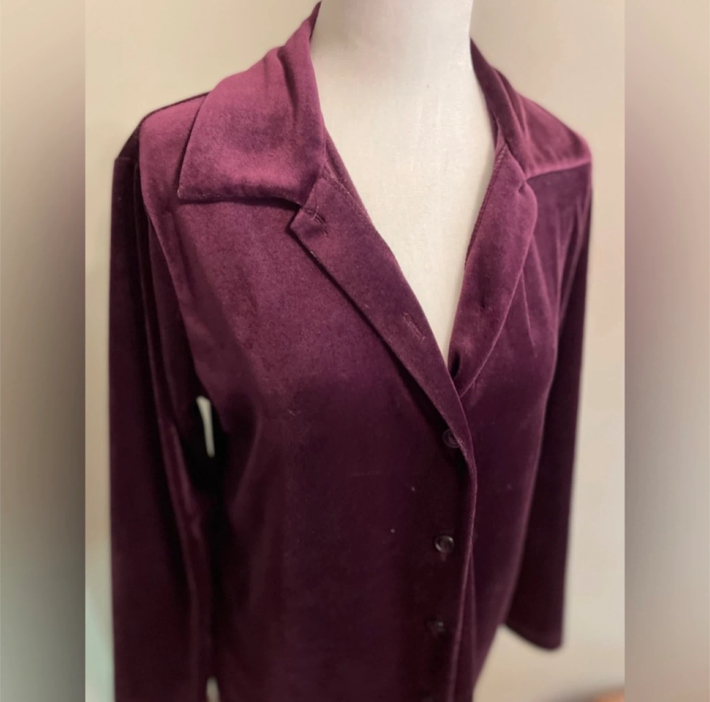 Vintage Plum Velour Blouse - photo 2