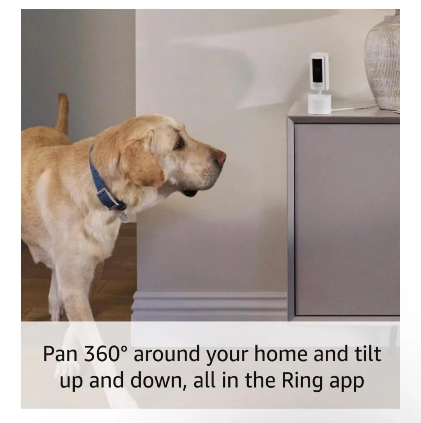 Ring Pan-Tilt Indoor Cam - Brand New - Never Opened image indicator(5)