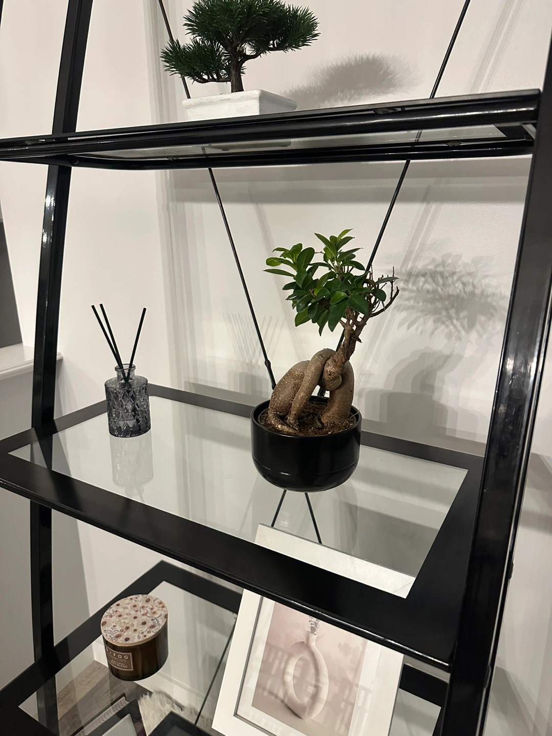 Black Metal and Glass Ladder Shelf - photo 3