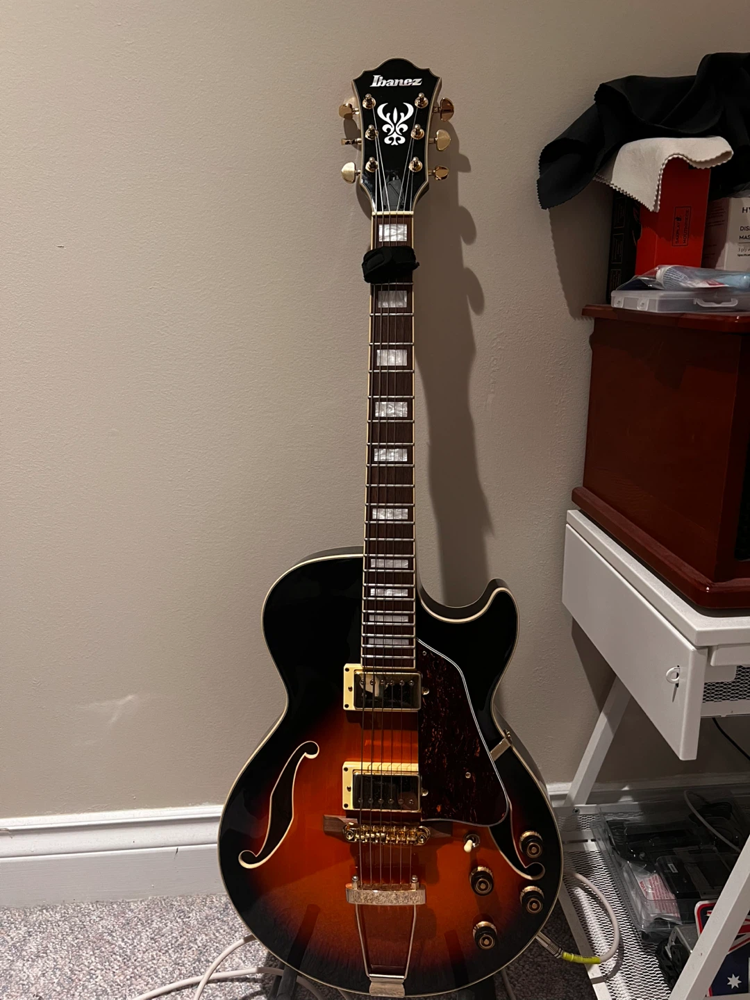Ibanez Hollow Body Guitar