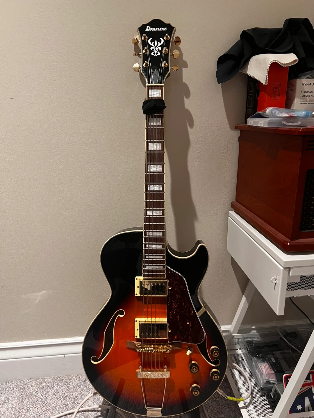 Ibanez Hollow Body Guitar - photo 2
