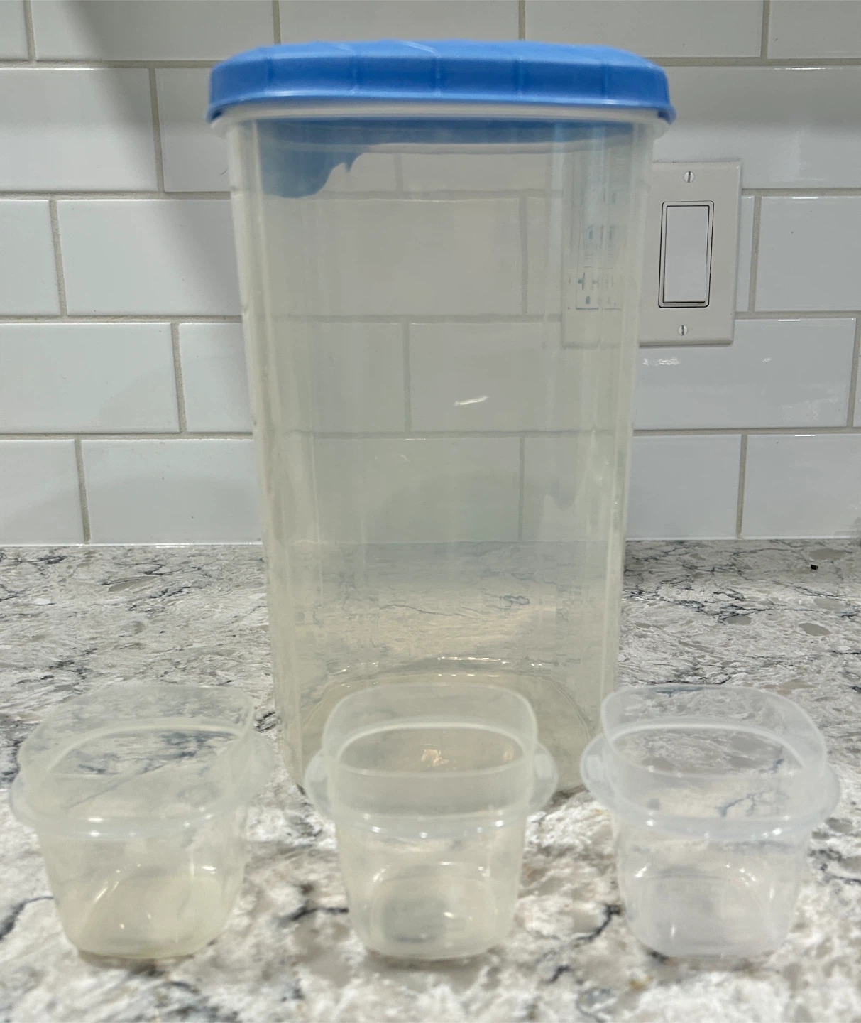 Rubbermaid Food Storage Container with 3 Small Cups