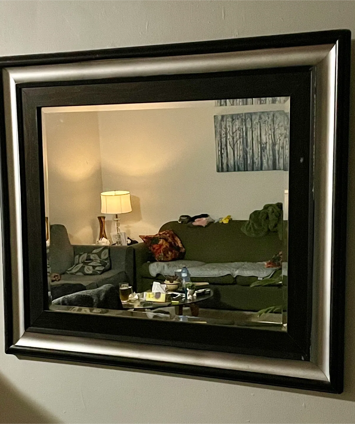 Framed Wall Mirror image indicator(3)