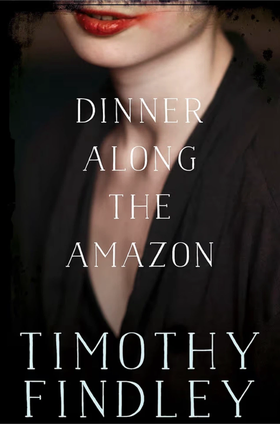 New Book Dinner Along the Amazon by Timothy Findley