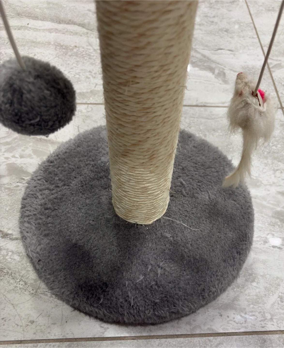 Scratching Post image indicator(3)