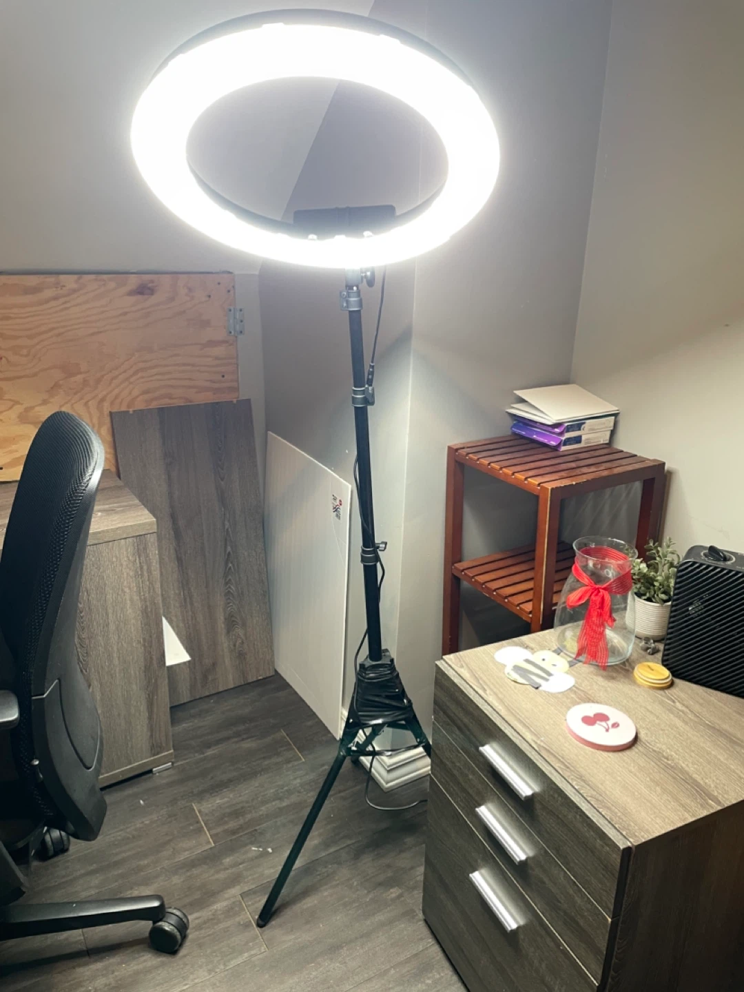 Ring Light with Stand - photo 2