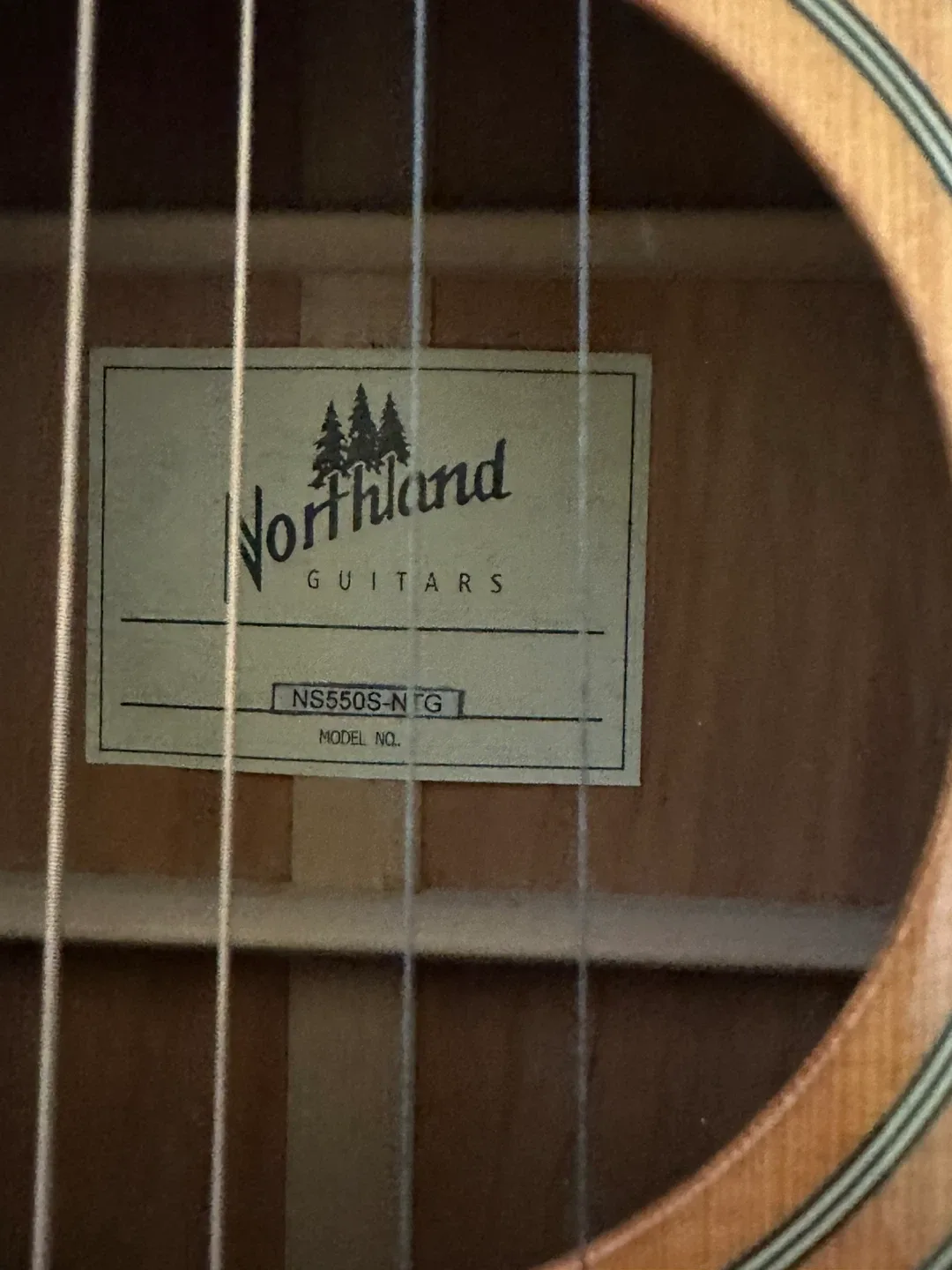 Northland Acoustic Guitar image indicator(4)