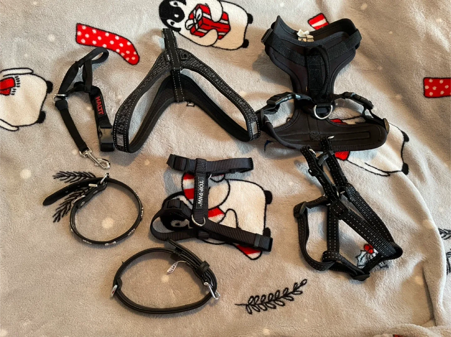 Small Dog Harnesses & Collars Lot-Black thumbnail