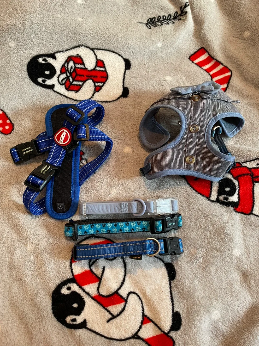 Small Dog Harnesses & Collars Lot-Blue thumbnail