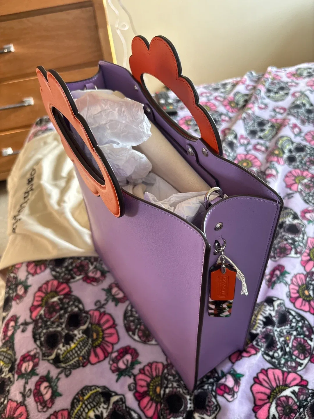 Beautiful Coach bag image indicator(2)