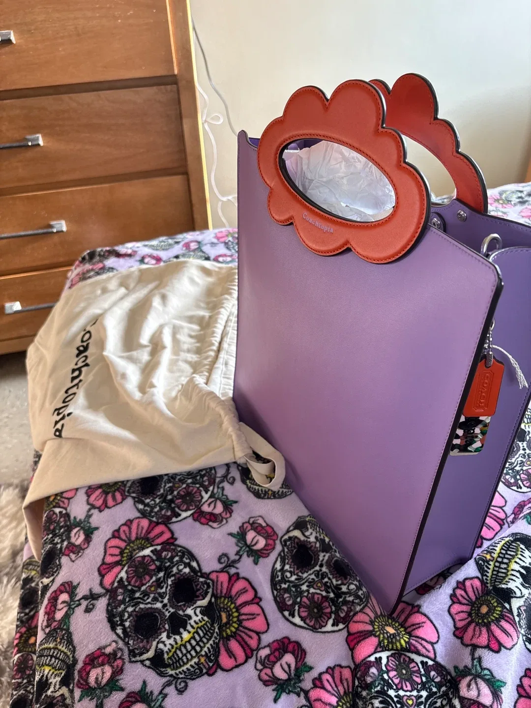 Beautiful Coach bag image indicator(3)