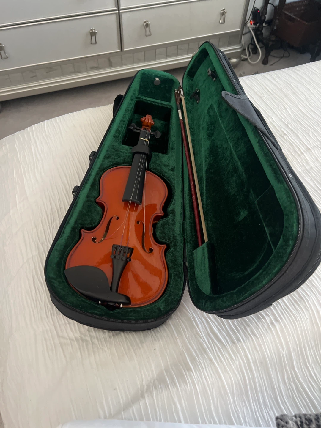 Violin with Case and Bow