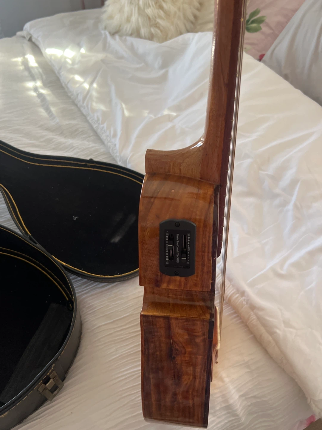 Charango Instrument with Case