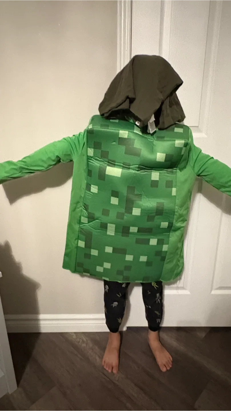 Minecraft Costume - Green