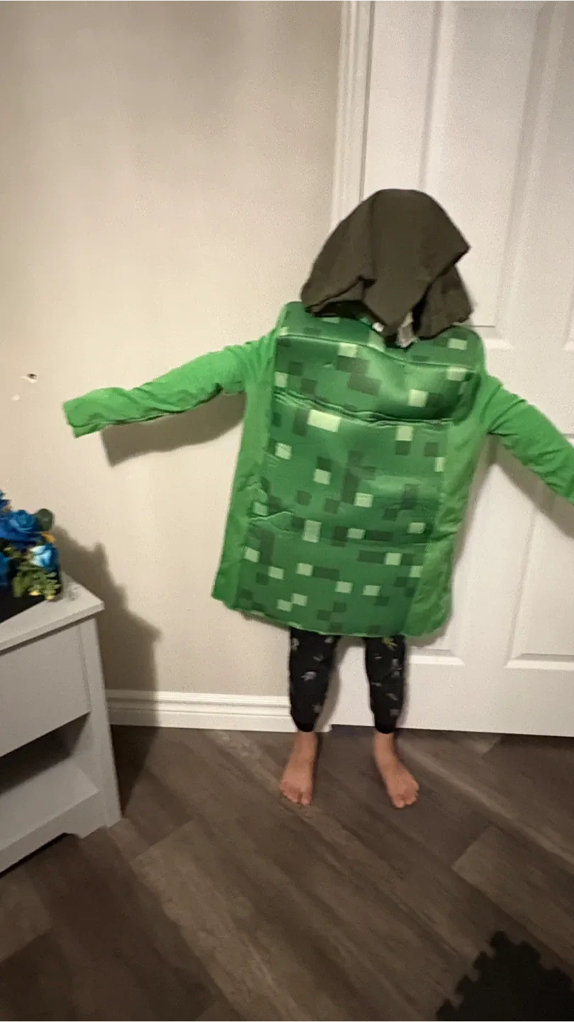 Minecraft Costume - Green image indicator(2)