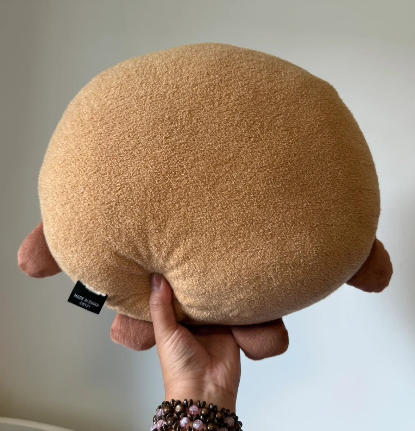 BT21 Shooky Plushie Pillow image indicator(4)