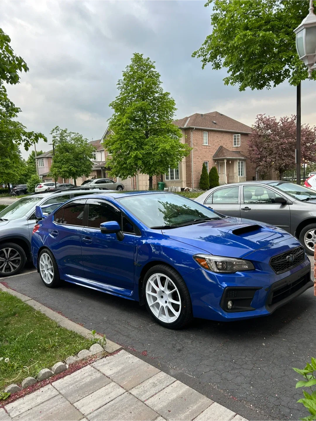 Ascend Ginza FR01 18 x 8.5 image indicator(5)