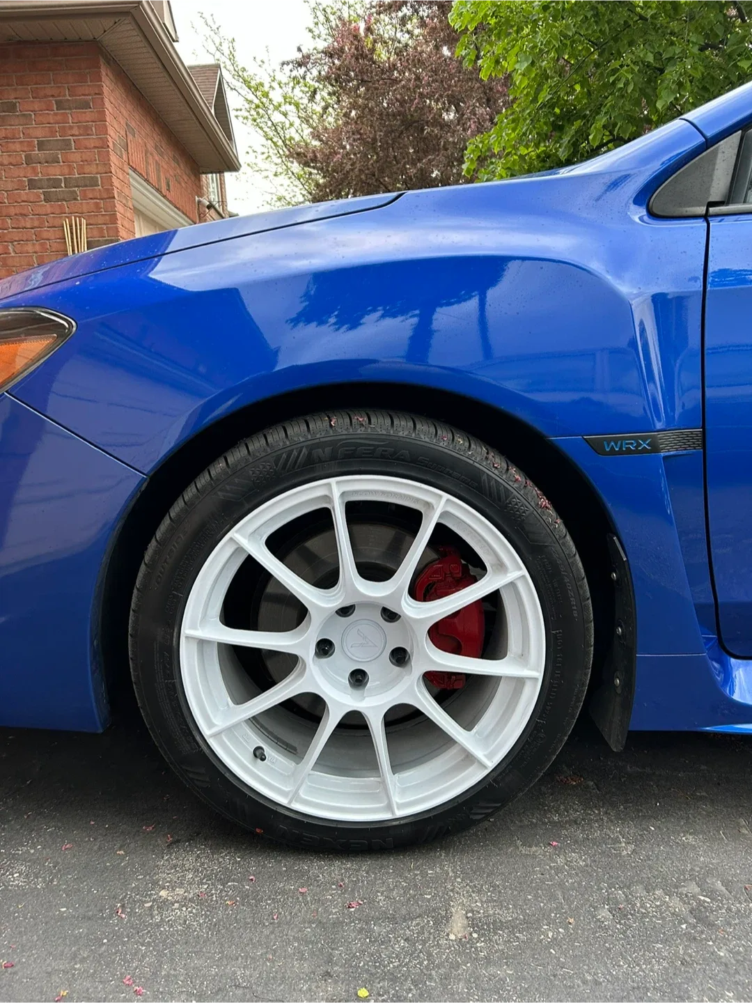 Ascend Ginza FR01 18 x 8.5 image indicator(2)