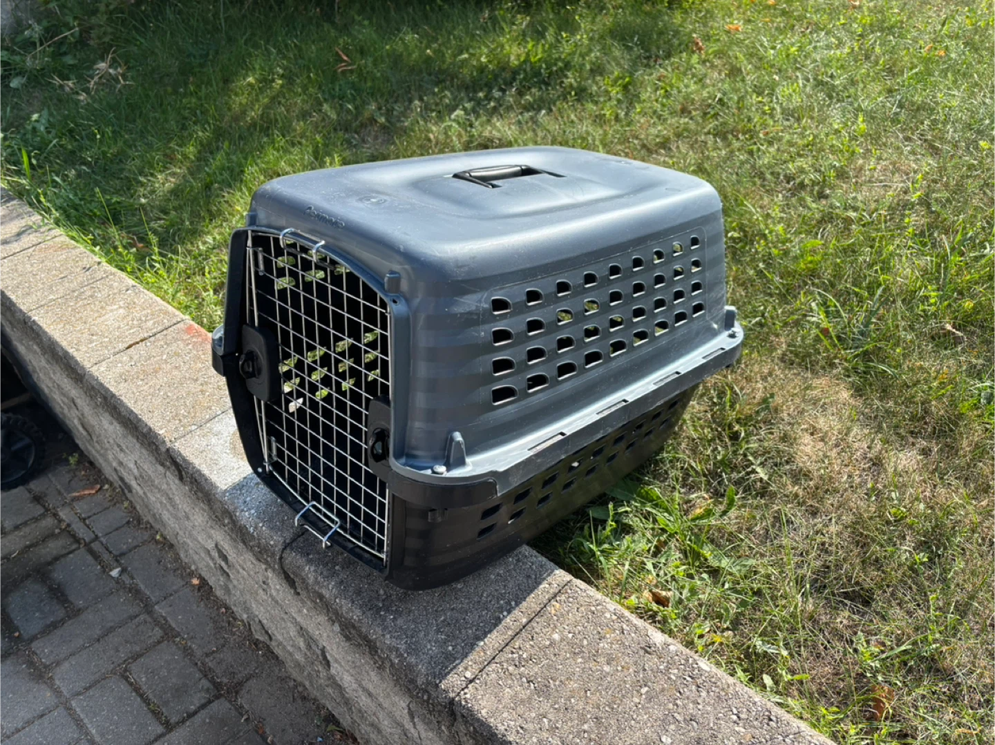 Petmate Dog Crate