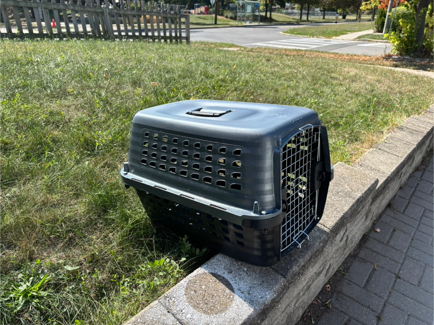Petmate Dog Crate - photo 2