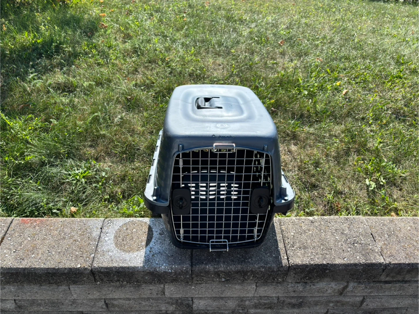 Petmate Dog Crate - photo 3