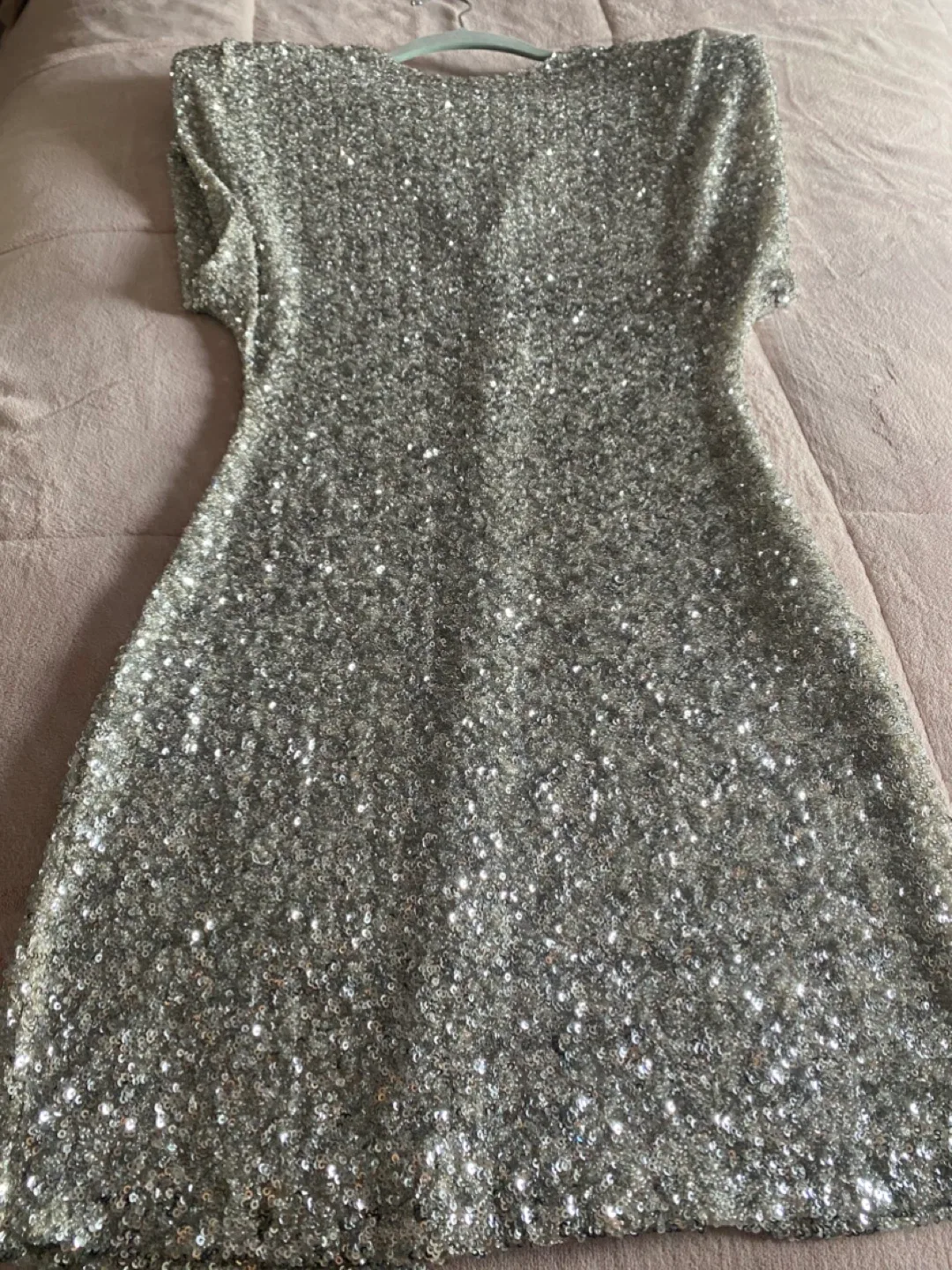 Zara Sequin Dress - Size M image indicator(2)