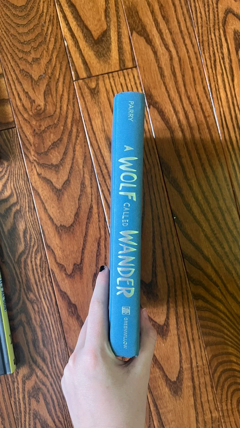 5 kids chapter book lot image indicator(3)