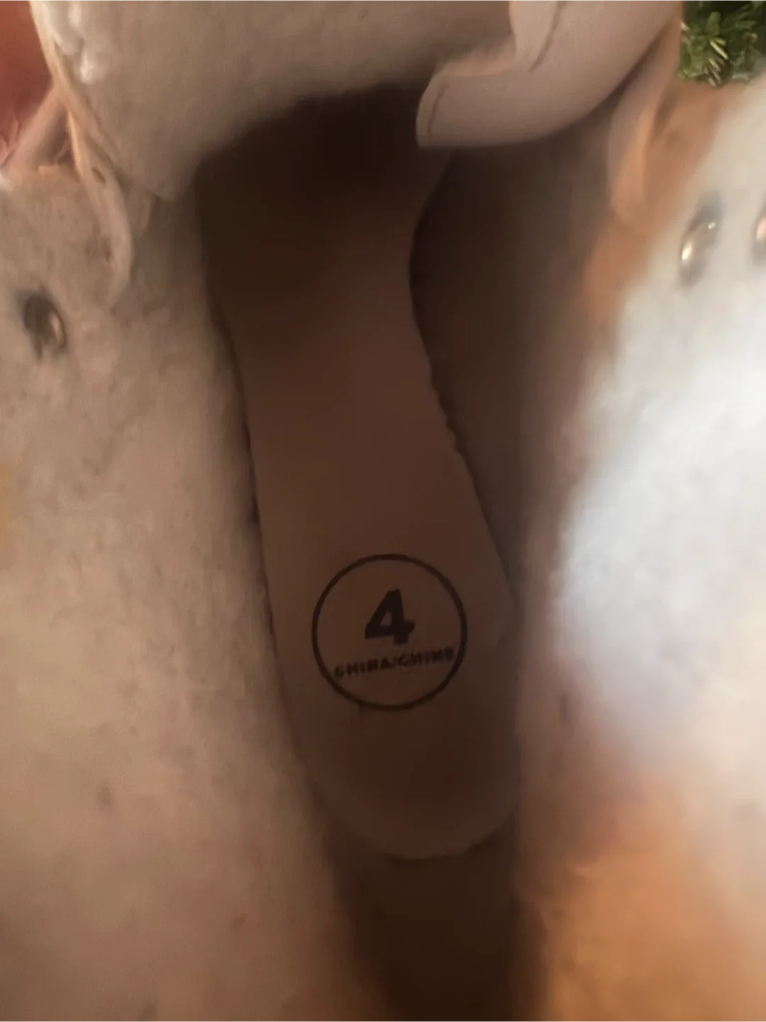 Jackson Ultima Cameo 1500 Ice Skates - Size 4 image indicator(2)