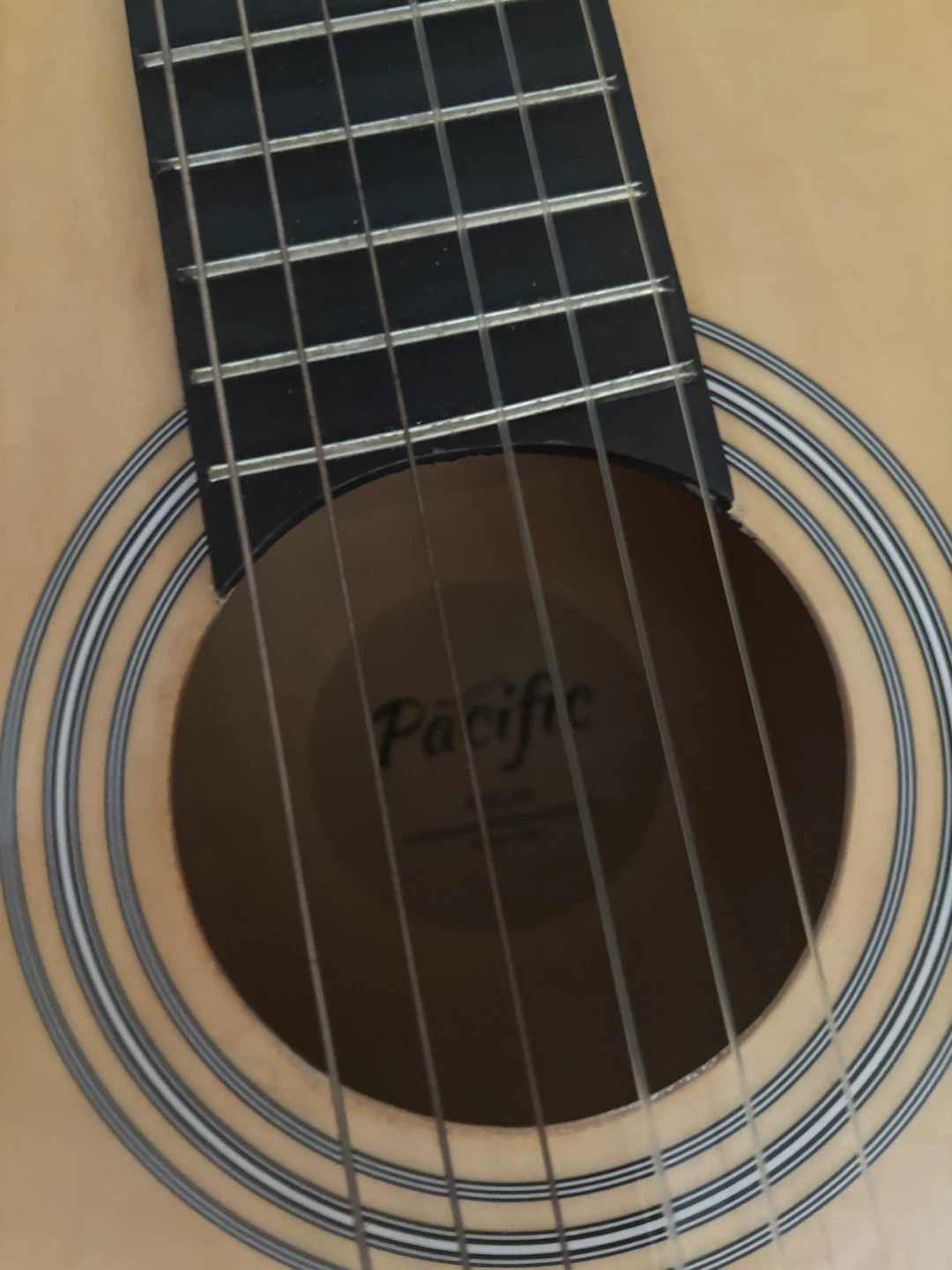 Pacific Acoustic Guitar - photo 2