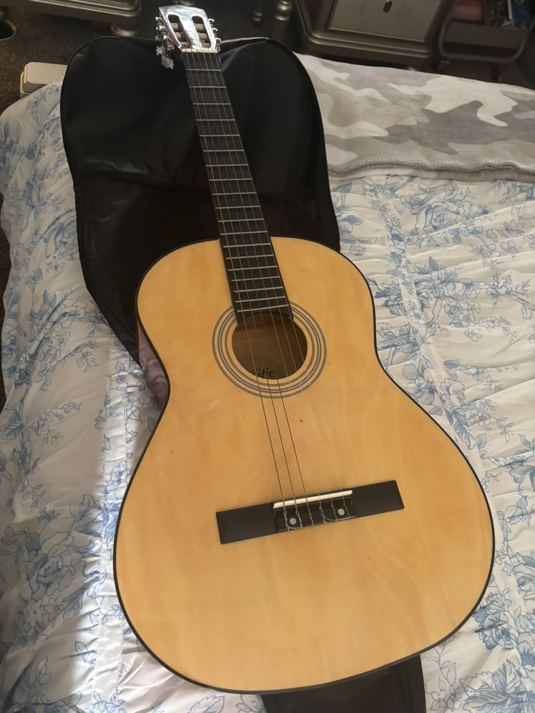 Pacific Acoustic Guitar