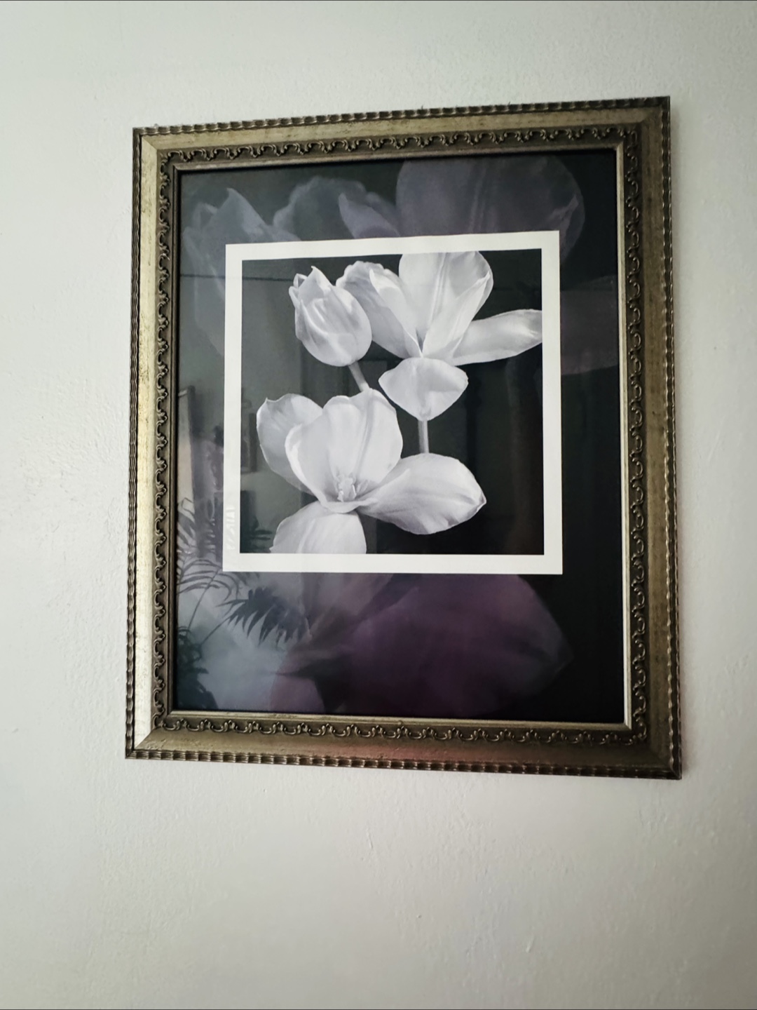 🥕 White Flower Picture - photo 2