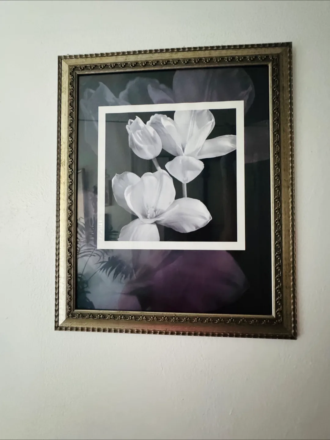 🥕 White Flower Picture image indicator(2)