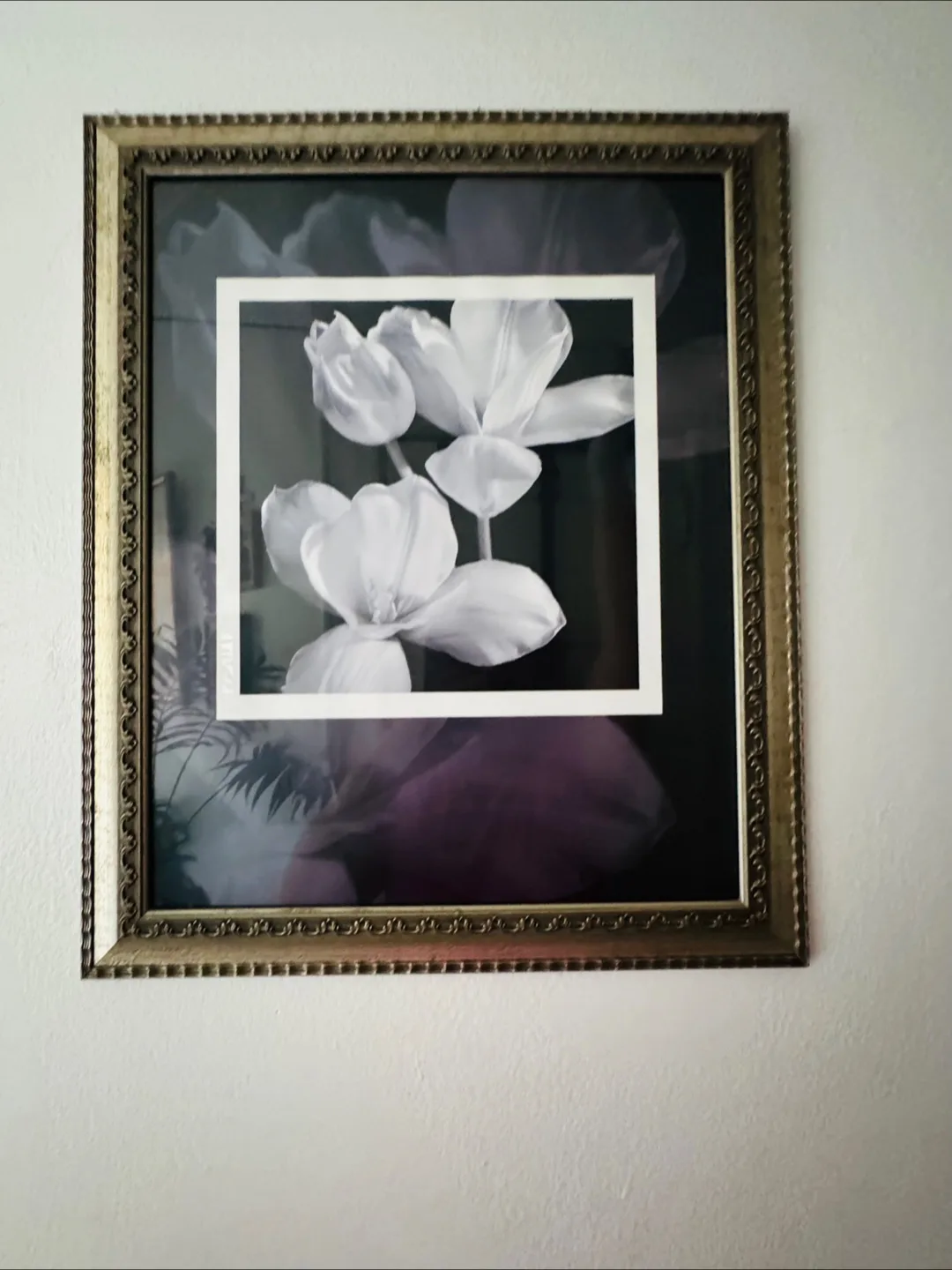 🥕 White Flower Picture