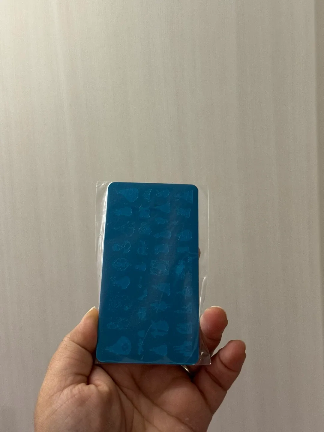 Cinderella - Nail Stamping Plate - NEW image indicator(4)