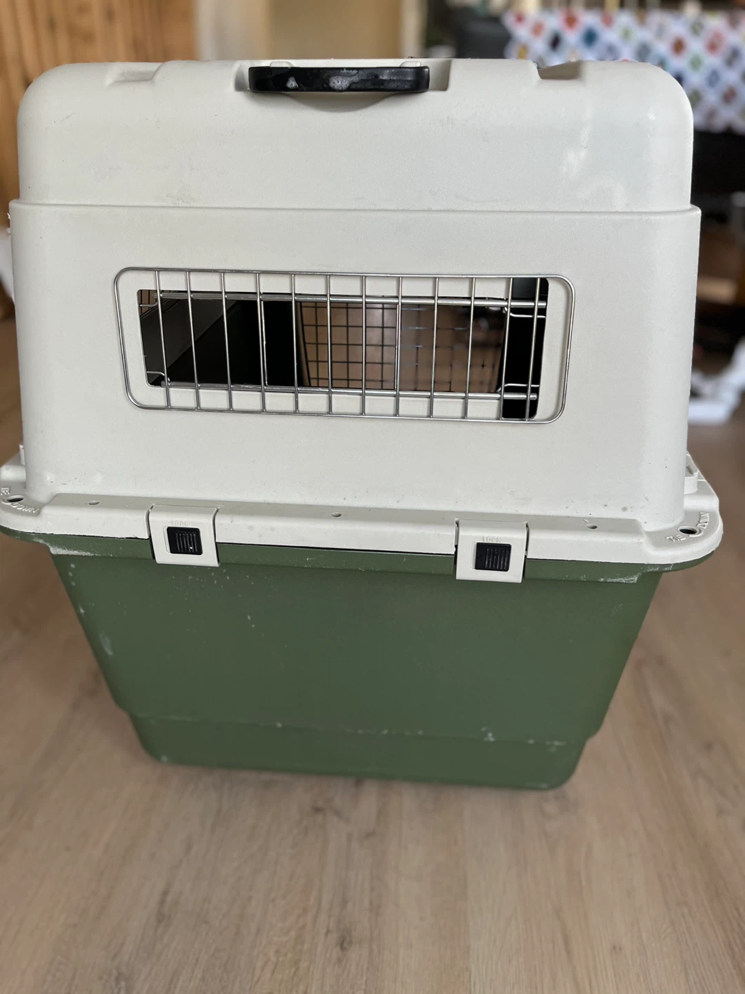 Pet Carrier - Green and White - photo 5