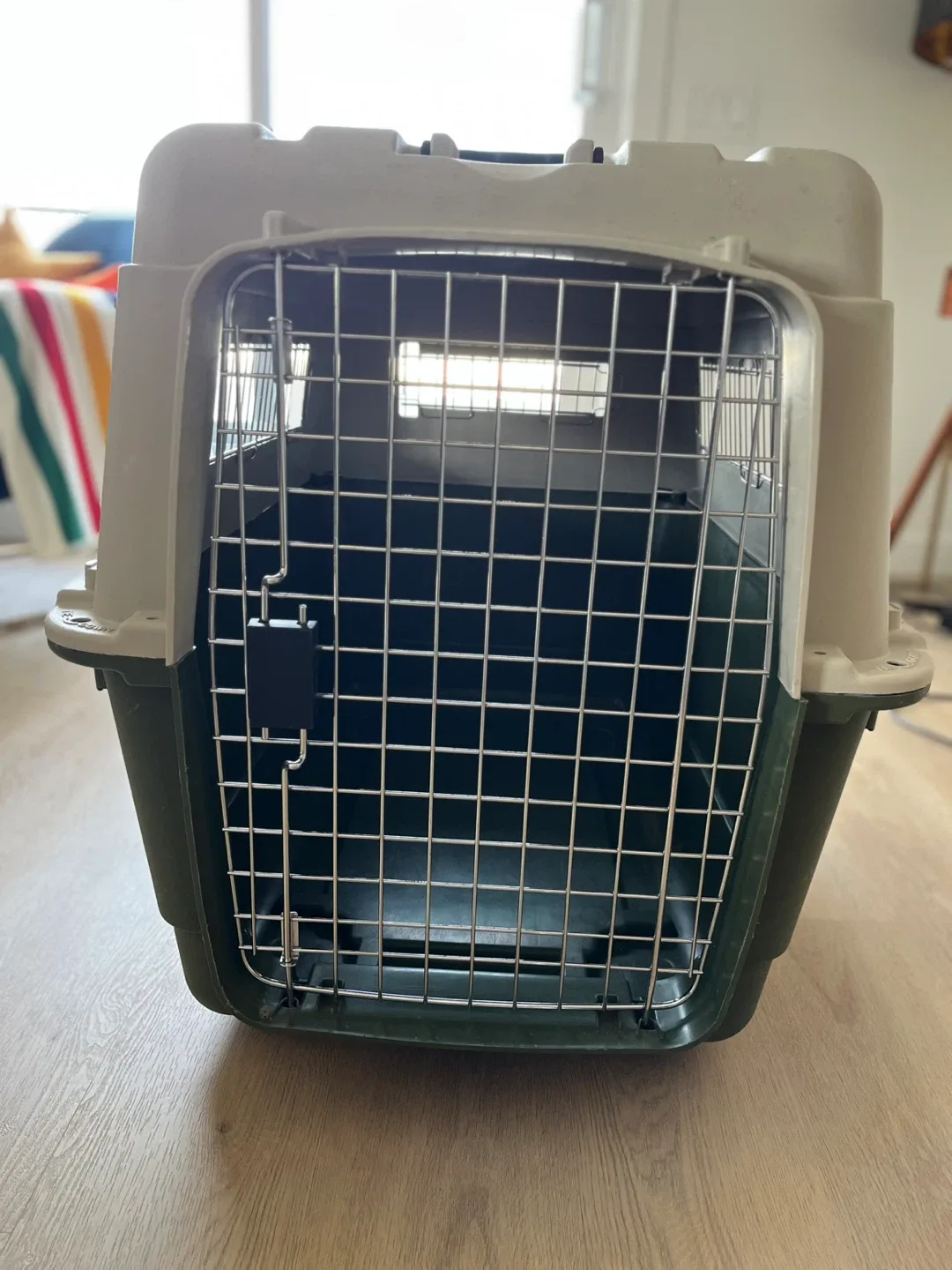 Pet Carrier - Green and White