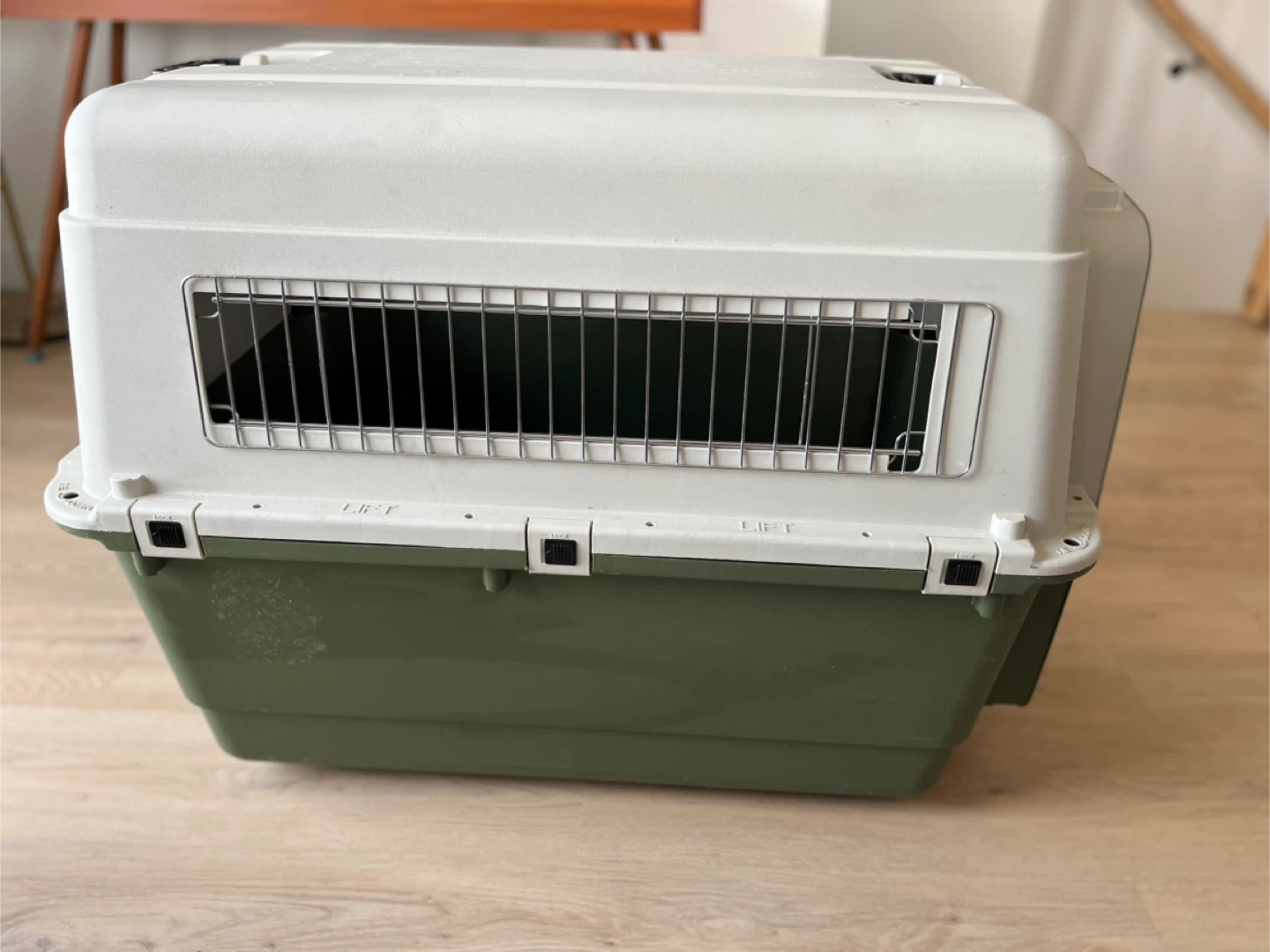 Pet Carrier - Green and White - photo 2