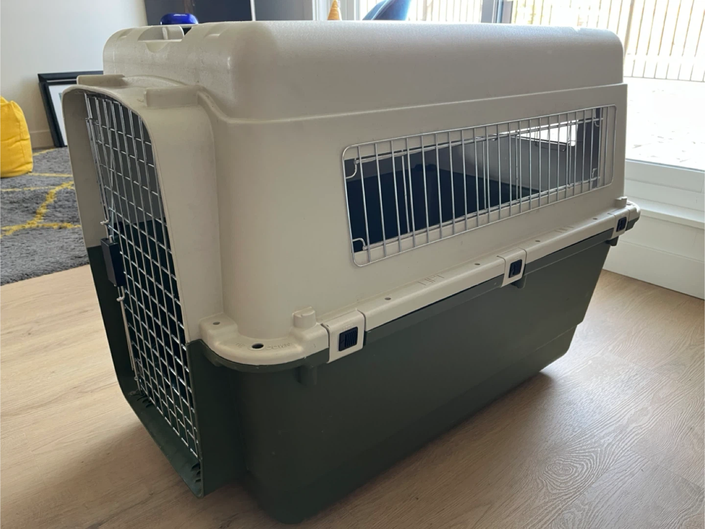 Pet Carrier - Green and White - photo 3